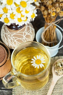 Bir fincan papatya çayı ve papatya çiçeği. doktor tedavisi ve bağışıklık sisteminin önlenmesi, tıp - halk, alternatif, tamamlayıcı, geleneksel tıp