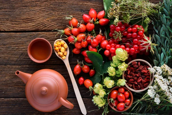 Σκυλί Τριαντάφυλλο Σύνολο Των Κλάδων Rosehips Κυνόροδα Ισχία Γκότζι Μούρα — Φωτογραφία Αρχείου