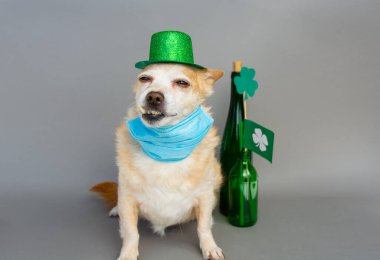 Yeşil cüce şapkalı sevimli köpek koruyucu yüz maskesi takıyor. Mutlu Aziz Patrick Günü geçmişi. Coronavirus, Pandemik Karantina Konsepti sırasında 17 Mart 'ta kutlama