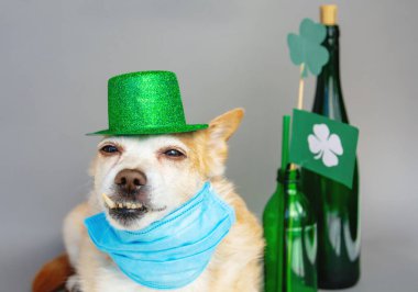 Yeşil cüce şapkalı sevimli köpek koruyucu yüz maskesi takıyor, Aziz Patrick Günü geçmişi. Coronavirus Covid-19, Salgın Karantina Konsepti sırasında 17 Mart 'ta kutlama