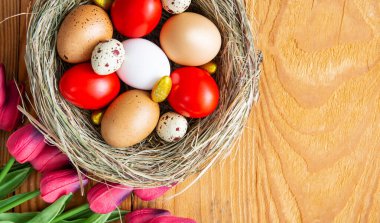 Yuva manzaralı renkli Paskalya yumurtaları. Ahşap arka planda bahar çiçekleri, seçici odak görüntüsü. Mutlu Paskalyalar.