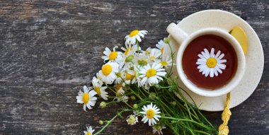  Bir fincan papatya çayı ve taze papatya çiçeği arkaplanı, tedavi ve bağışıklık konsepti, ilaç