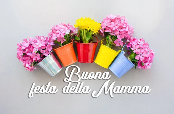 Днем Матері Смс Італійській Квітці — стокове фото