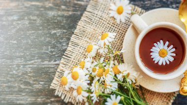 ahşap arka plan üzerinde taze papatya çiçekler ile bitkisel papatya çayı fincan. Doktor tedavi ve Önleme kavramının bağışıklık, tıp - halk, alternatif, tamamlayıcı, geleneksel tıp