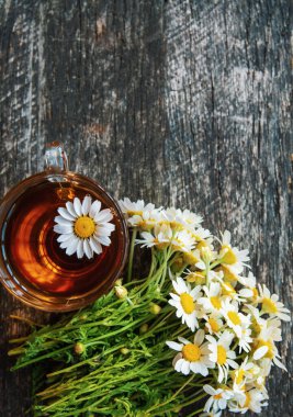 ahşap arka plan üzerinde taze papatya çiçekler ile bitkisel papatya çayı fincan. Doktor tedavi ve Önleme kavramının bağışıklık, tıp - halk, alternatif, tamamlayıcı, geleneksel tıp