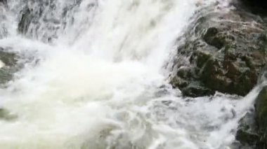 Güzel şelaleleri olan orman nehri. Ormanda yaz. Nehrin üzerindeki ağaçlar. Şelale Şelalesi Vahşi doğanın güzelliği