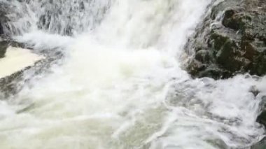 Güzel şelaleleri olan orman nehri. Ormanda yaz. Nehrin üzerindeki ağaçlar. Şelale Şelalesi Vahşi doğanın güzelliği