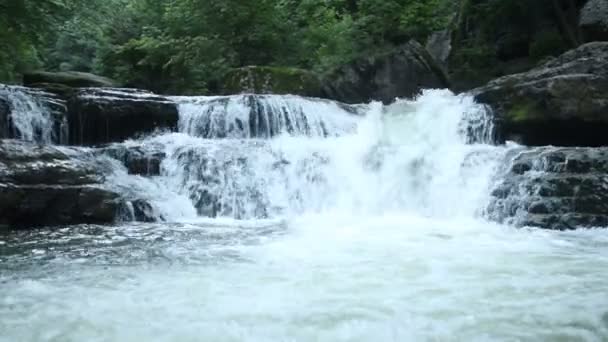 Waldfluss Mit Schönen Wasserfällen Sommer Wald Bäume Über Dem Fluss — Stockvideo