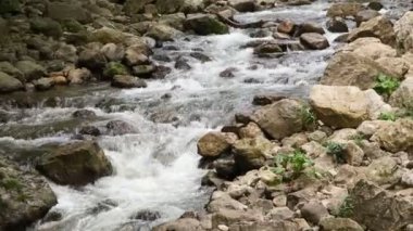 Güzel şelaleleri olan orman nehri. Ormanda yaz. Nehrin üzerindeki ağaçlar. Şelale Şelalesi Vahşi doğanın güzelliği