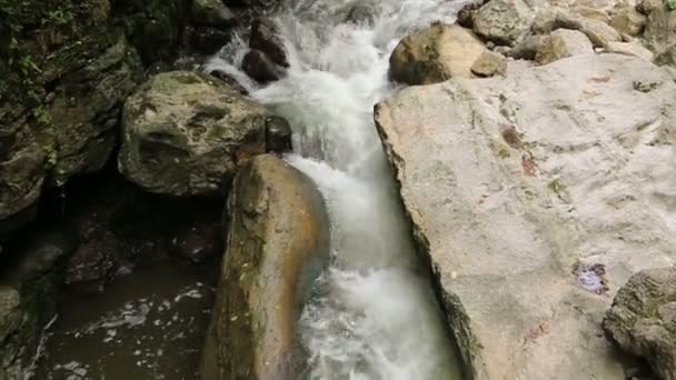 Waldfluss Mit Schönen Wasserfällen Sommer Wald Bäume Über Dem Fluss — Stockvideo