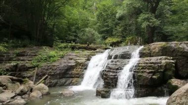Güzel şelaleleri olan orman nehri. Ormanda yaz. Nehrin üzerindeki ağaçlar. Şelale Şelalesi Vahşi doğanın güzelliği