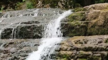 Güzel şelaleleri olan orman nehri. Ormanda yaz. Nehrin üzerindeki ağaçlar. Şelale Şelalesi Vahşi doğanın güzelliği