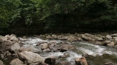 Güzel şelaleleri olan orman nehri. Ormanda yaz. Nehrin üzerindeki ağaçlar. Şelale Şelalesi Vahşi doğanın güzelliği