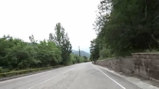 Autofahrt Auf Flacher Asphaltstraße Mitten Wald — Stockvideo