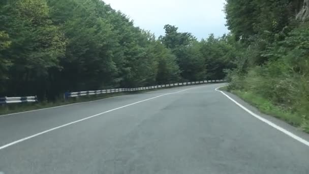 Autofahrt Auf Flacher Asphaltstraße Mitten Wald — Stockvideo