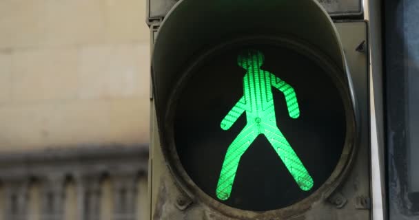 Grönt Ljus Trafikljuset — Stockvideo