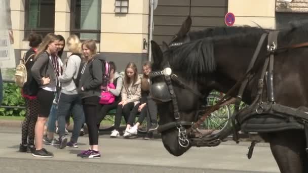 Berlino Germania Aprile 2014 Gente Cammina Sulla Piazza Con Pietre — Video Stock