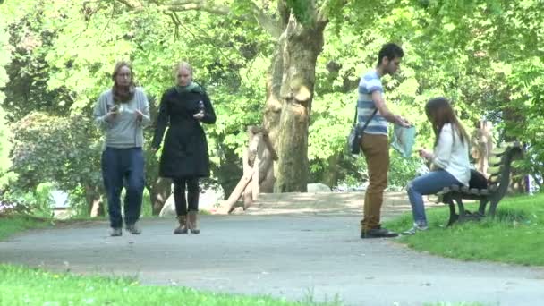 Berlin Almanya Nisan 2014 Kadınlar Erkekler Kız Oğlan Güzel Park — Stok video