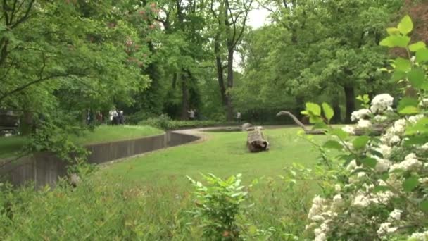 베를린의 아름다운 공원에 꽃들이 있습니다 벤치와 잔디밭에 앉아서 사람들 — 비디오