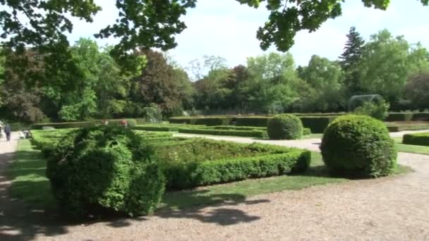 Bellissimo Parco Berlino Con Cespugli Alberi Fiori Gente Che Cammina — Video Stock