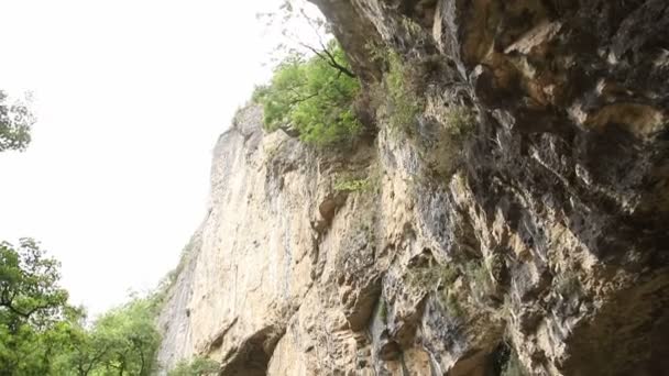 森林附近岩石中的天然洞穴入口 — 图库视频影像