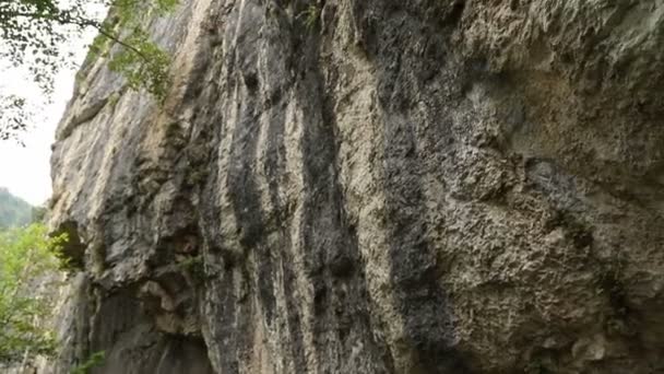 Приклад Природної Печери Скелі Біля Лісу — стокове відео
