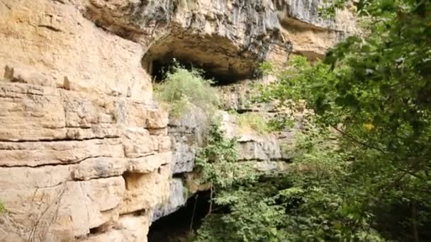 森林附近岩石中的天然洞穴入口 — 图库视频影像