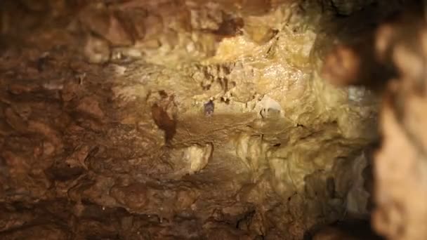 Naturlig Grotta Klippan Grotta Som Underjordisk Med Vackra Belysta Stenar — Stockvideo