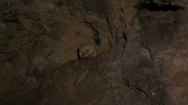 Cráneo Una Cueva Natural Roca — Vídeo de stock