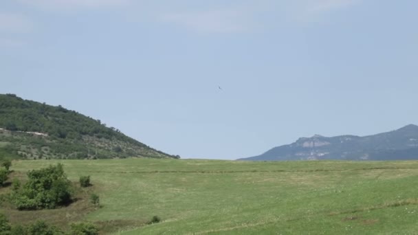 Pájaros Voladores Sobre Las Verdes Colinas Árboles Prados Vista Sobre — Vídeos de Stock