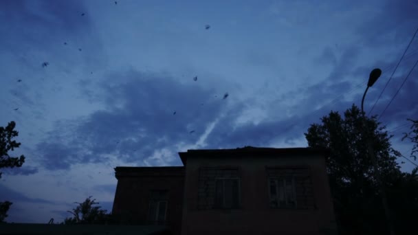 Stormo Uccelli Che Volteggiano Sopra Casa Nel Cielo Blu — Video Stock