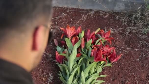 Jerevan Armenien November 2020 Man Lägger Blommor Vid Graven Vackra — Stockvideo