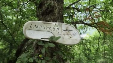 Sırt çantalı bir adam ve yeşil bir ormanda yürüyüş yolu boyunca giden bir kamera. Sırt çantalı bir turist Dağ Ormanı 'ndaki Taş Patikası boyunca aşağı gidiyor. Kayalık dağ ormanlarında yürüyüş yapan bir adam.