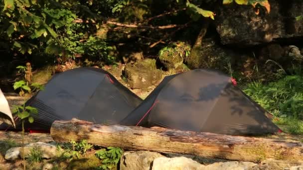Kampeertenten Het Bos Uitzicht Tenten Een Camping Het Bos Waterdichte — Stockvideo