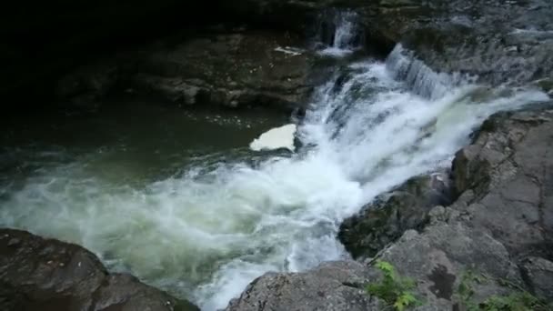 男は森の中の滝で川のプールに飛び込む 滝の横の川に崖の男ジャンプ私は森 — ストック動画