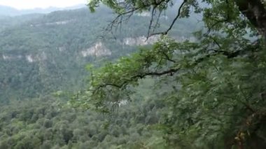 Turist, yeşil bir ormanda, sırt çantalı turist, Dağ Ormanı 'ndaki Taş Patikası boyunca yürüyor. Kayalık bir dağ ormanında yürüyüş yapan bir adam. Dağ turizmi. Yaz. 