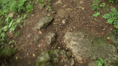 Turist, yeşil bir ormanda, sırt çantalı turist, Dağ Ormanı 'ndaki Taş Patikası boyunca yürüyor. Kayalık bir dağ ormanında yürüyüş yapan bir adam. Dağ turizmi. Yaz. 