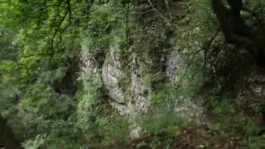 Turist ormandaki bir uçurumun yanında yürür. Dağ 'da uçurumun kenarındaki taş patikadan aşağı iniyor. Dağ yamacında kayalık patika boyunca yürüyüş.. 