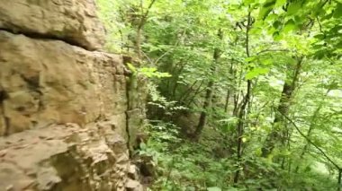 Turist, yeşil bir ormanda, sırt çantalı turist, Dağ Ormanı 'ndaki Taş Patikası boyunca yürüyor. Kayalık bir dağ ormanında yürüyüş yapan bir adam. Dağ turizmi. Yaz. 