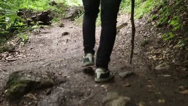 Hombre Con Una Mochila Que Recorre Una Ruta Senderismo Bosque — Vídeo de stock