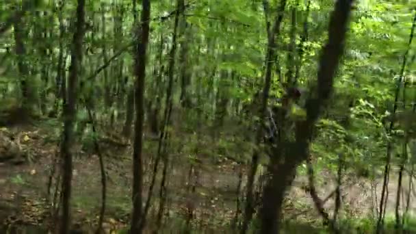 Uomo Con Uno Zaino Che Percorre Sentiero Escursionistico Una Foresta — Video Stock