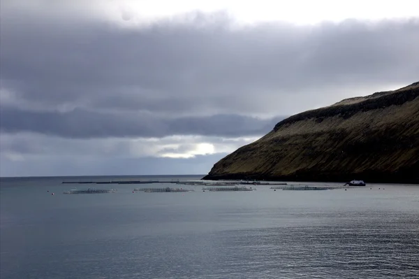 Faroe Adaları doğası — Stok fotoğraf