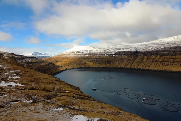 De aard van de Faeröer — Stockfoto