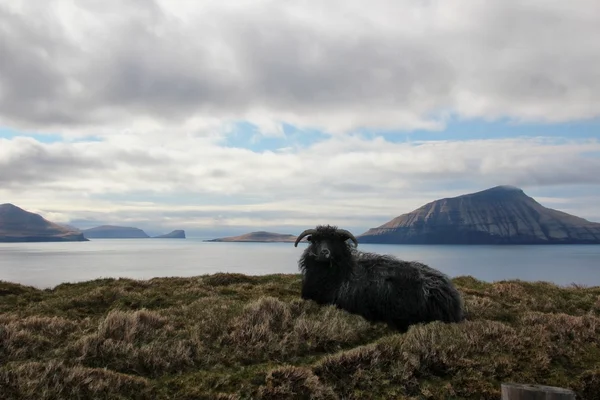 Природа Фарерських островів в Північній Атлантиці — стокове фото