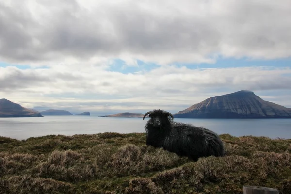 La natura delle Isole Faroe nell'Atlantico settentrionale — Foto Stock