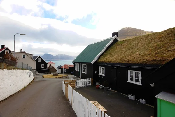 Bir yaz gününde Faroe Adaları doğası 