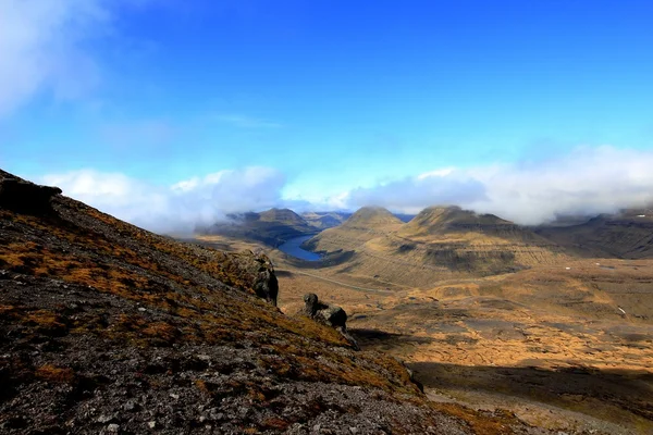 Le isole Faroe — Foto Stock