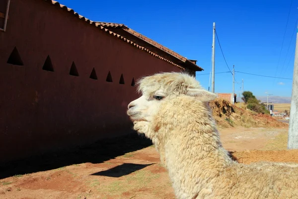De Peruaanse stad Cusco — Stockfoto