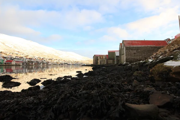 Faroe Adaları doğada — Stok fotoğraf