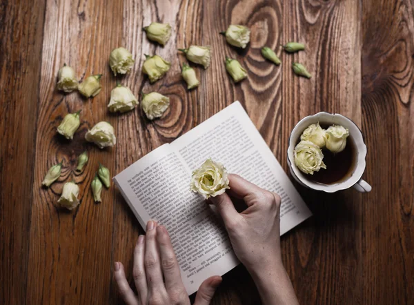 Teatime Fantasie auf einem Tisch — Stockfoto